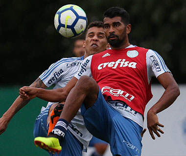 Palmeiras recebe o Flamengo em casa e tenta diminuir vantagem