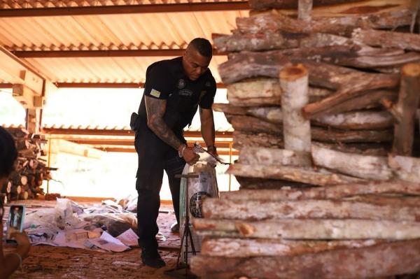  Denarc apreende quase meia tonelada de drogas no Piau&iacute; em 2023.(Imagem:Divulga&ccedil;&atilde;o)