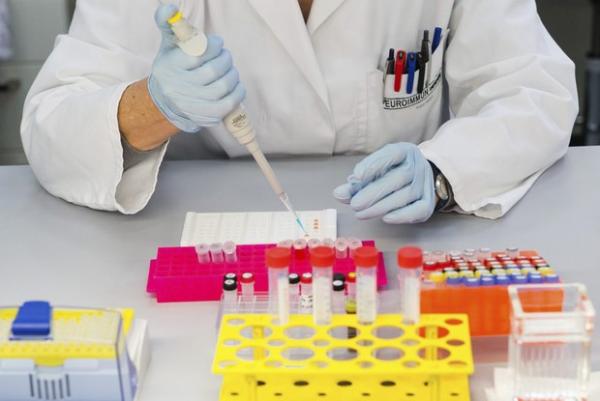Piauí já realizou 200 testes do Zika vírus em recém-nascidos e gestantes