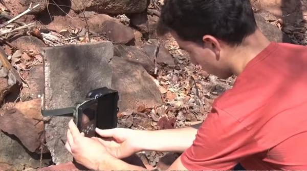 Pai e filho usam câmeras escondidas para flagrar animais silvestres no Piauí