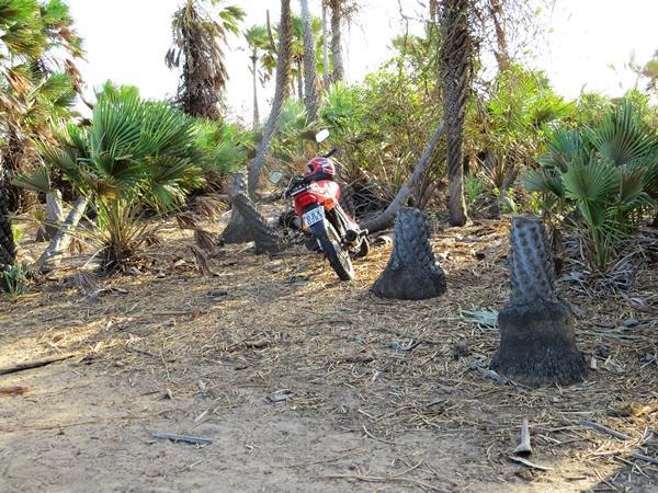 Moto estava ao lado do corpo.(Imagem:Pro Parna&iacute;ba )