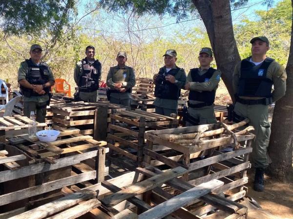 Polícia Militar flagra e encerra rinha de galos em São Pedro do Piauí; dez pessoas autuadas por maus