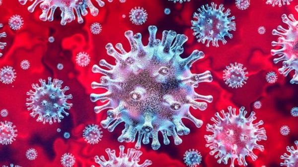 MA registra 5 novas mortes pelo novo coronavírus e possui 478 casos