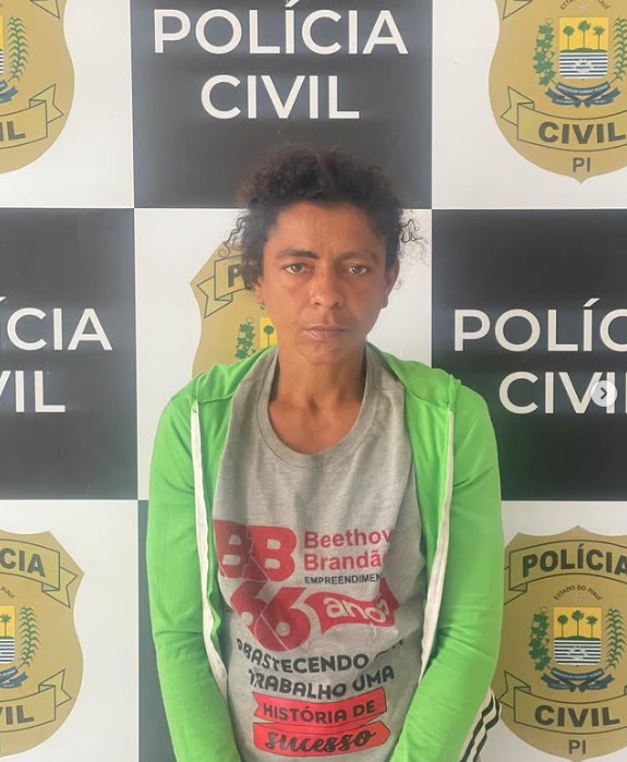 Polícias Civil e Militar de Floriano prendem mulher suspeita de vários furtos na cidade