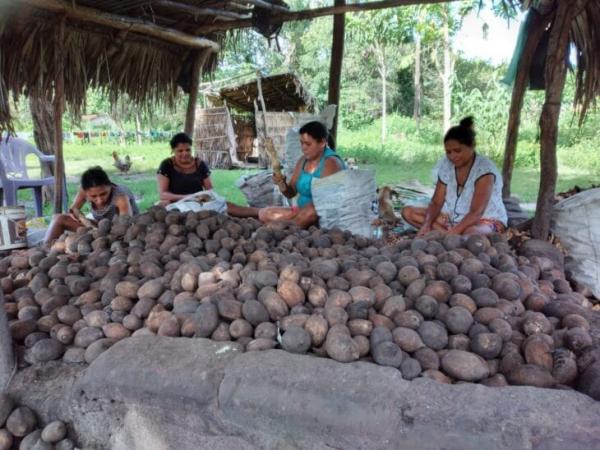 Quebradeiras de coco doam 20 t de alimentos em parceria com o Governo