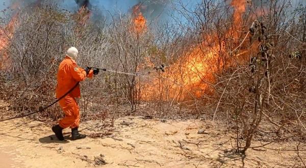 Corpo de Bombeiros reforça conscientização da população para evitar queimadas