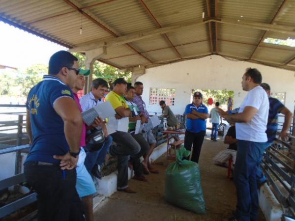 SEBRAE oferece curso sobre alimentação animal para produtores de Floriano
