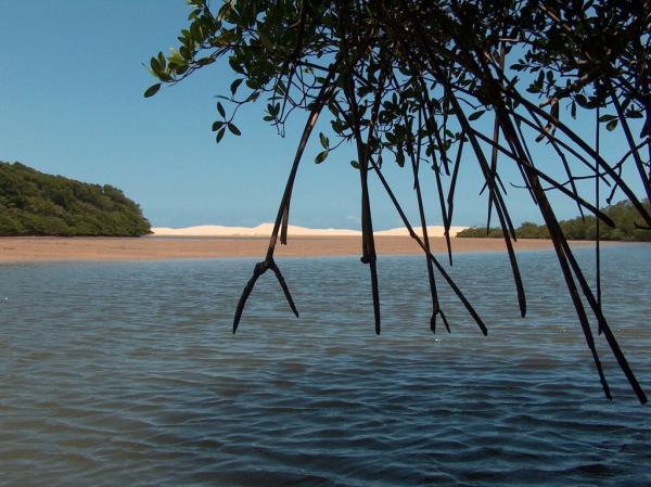 ICMBio abre inscrições para processo seletivo no Delta do Parnaíba; confira vagas
