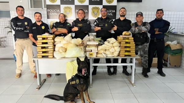 Draco realiza 77 operações e reforça ações de enfrentamento ao crime organizado em todo o Piauí