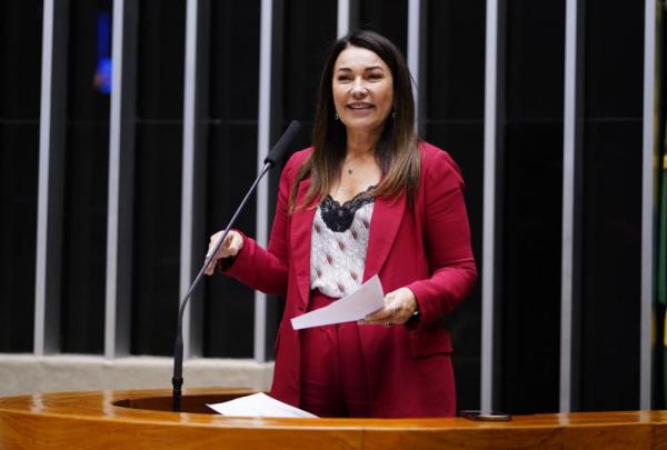 Diretora administrativo e financeira do Sebrae, Margarete Coelho.(Imagem:Pablo Valadares/ C&acirc;mara dos Deputados)