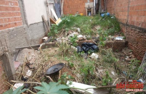 Moradores denunciam depósito da Seduc como criadouro de mosquito