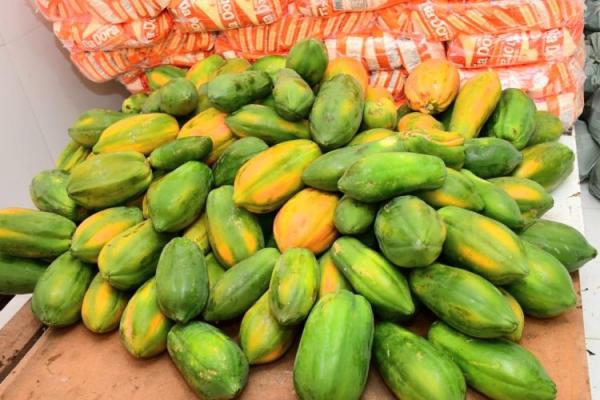 Barão de Grajaú recebe trator da CODEVASF para fortalecer a agricultura local(Imagem:Secom)