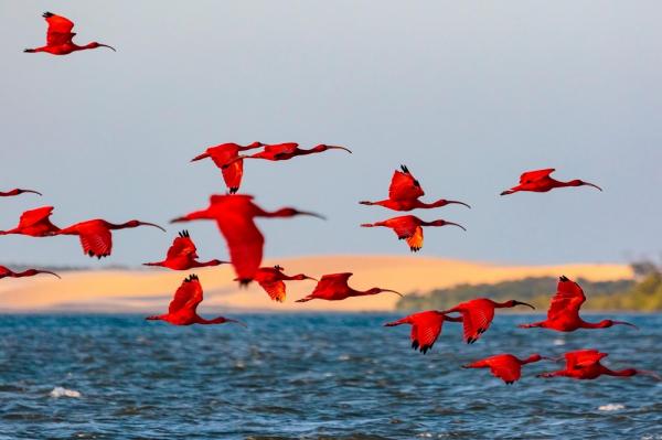 Cultura, natureza e história complementam roteiro turístico no litoral do Piauí