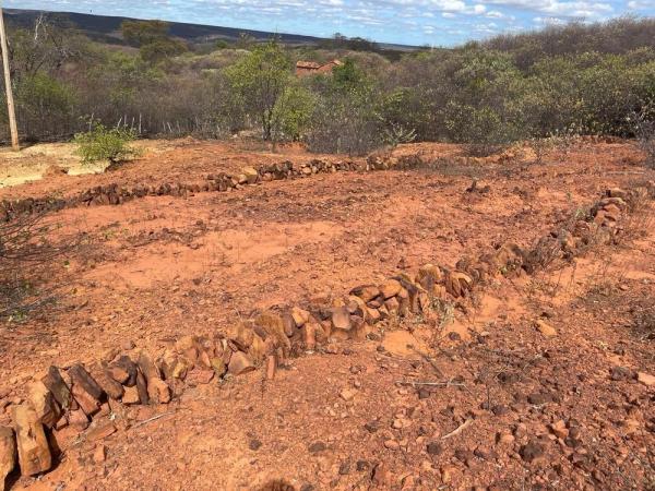 Fapepi investe em projeto no semiárido piauiense para recuperação da biodiversidade do solo