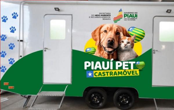 Castramóvel começa a funcionar em junho em parceria com clínicas veterinárias