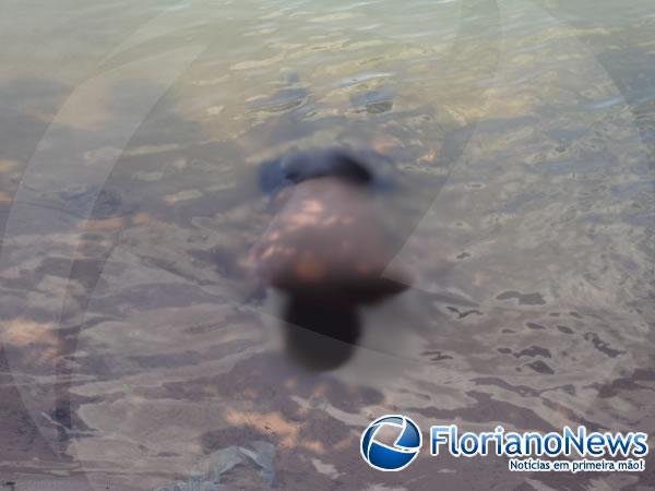 Bombeiros localizam corpo de adolescente que se afogou no Rio Parna&iacute;ba(Imagem:FlorianoNews)