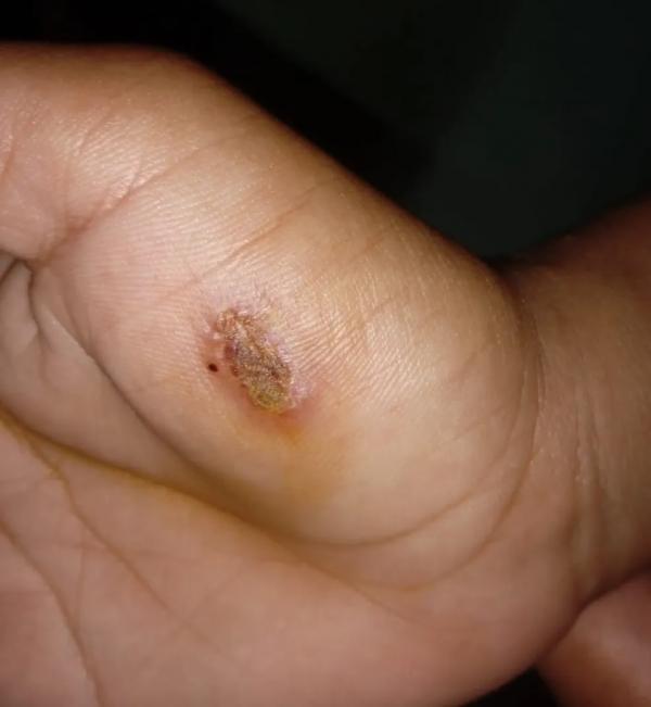 Homem denunciado por torturar os quatro enteados e filmar agressão é encaminhado para presídio no PI