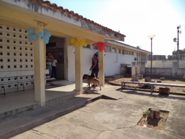 Floriano imuniza animais durante a Campanha de Vacinação Antirrábica.(Imagem:FlorianoNews)