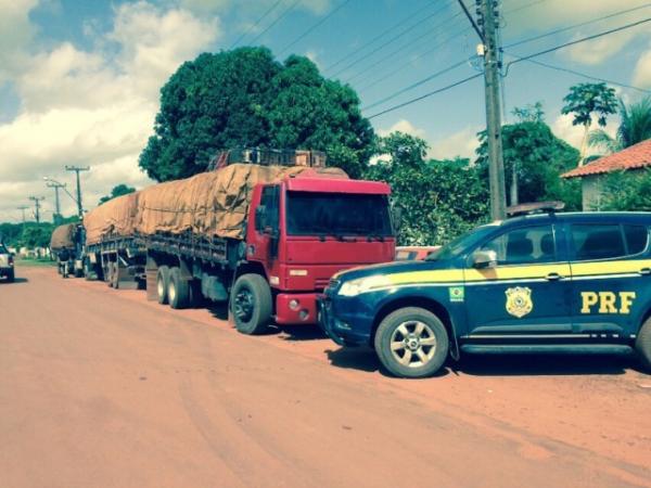 PRF apreende cargas de madeira e gado sem nota fiscal no Piauí