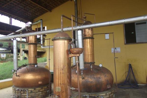 Rep&oacute;rter Amarelinho visita f&aacute;brica da cacha&ccedil;a Vale do Riach&atilde;o.(Imagem:FlorianoNews)