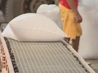 Falta de alimento para os animais preocupa produtores no Piauí