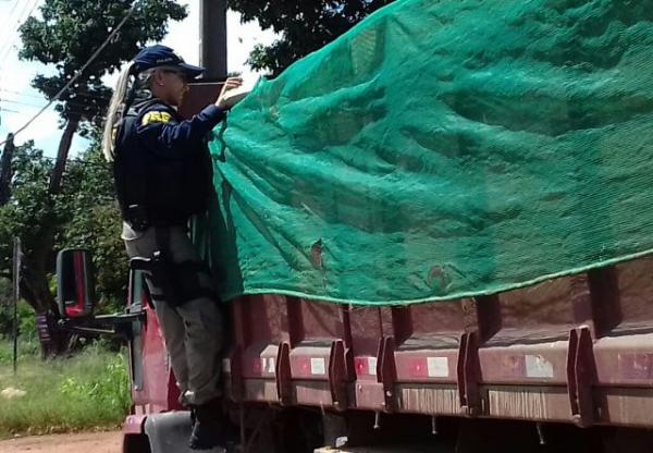Polícia Rodoviária Federal realizou prisões e apreensões em Teresina