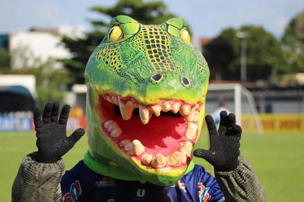 Ingresso até R$ 300 para ver Flamengo no Piauí faz web zoar: "É Champions? Vai ter open bar?"