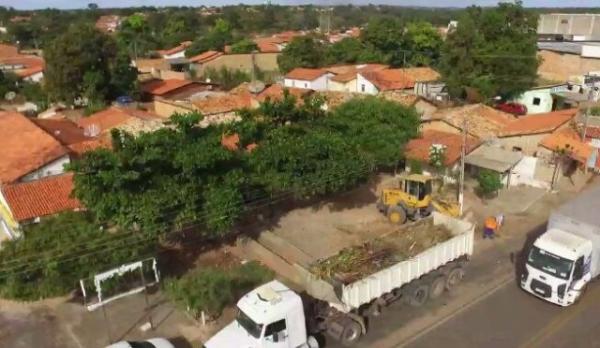 Mutirão de limpeza combate o mosquito da dengue em Floriano