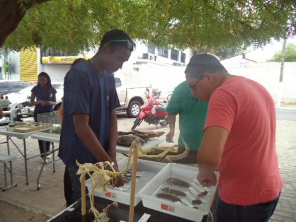 Acadêmicos da UFPI realizam exposição itinerante de Zoologia