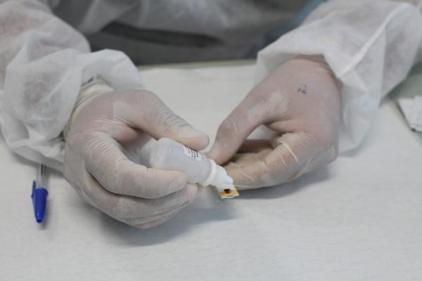 Piauí chega a 134.717 casos confirmados e 2.722 mortes por Covid-19