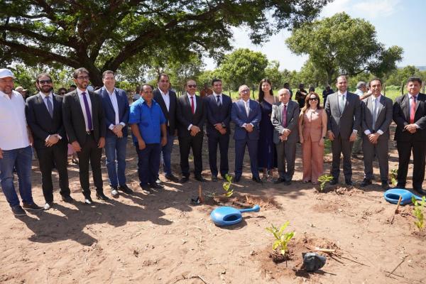 Governo do Piauí entrega 3 mil mudas frutíferas e nativas em Santa Filomena(Imagem:Ascom TJPI)