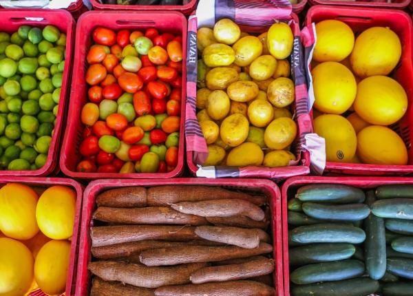 Com R$ 6 milhões em recursos, SAF divulga edital do Programa de Alimentação Saudável (PAS)