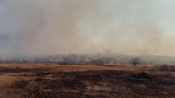 Três mil focos de incêndio aconteceram em apenas 30 dias no Piauí