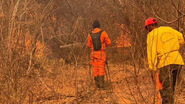 Portaria proíbe temporariamente uso do fogo em 12 municípios do Piauí devido ao risco de queimadas