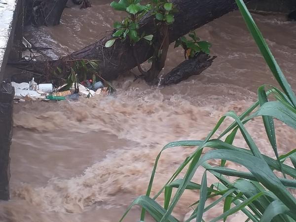 Riacho transborda e ruas ficam alagadas ap&oacute;s forte chuva em Floriano.(Imagem:Arquivo Pessoal / Aparecida Santana)