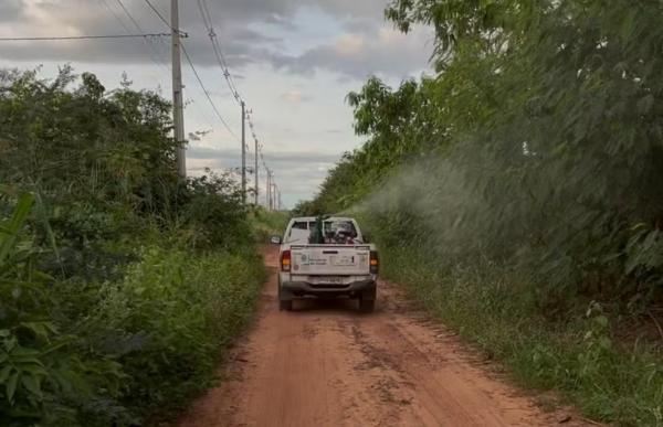 Piau&iacute; confirma a primeira morte por dengue em 2025; Sesapi refor&ccedil;a a&ccedil;&otilde;es de combate no Sul do estado.(Imagem:Divulga&ccedil;&atilde;o)