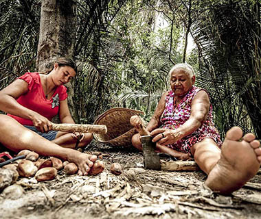 Quebradeiras de coco cobram lei que garante acesso aos babaçus e barra violência no PI
