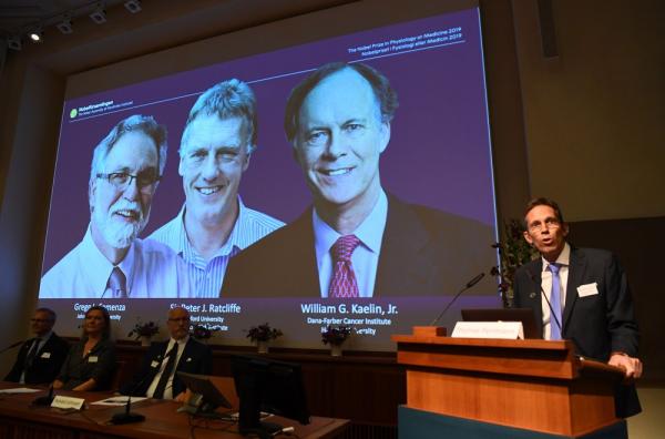 William Kaelin e Gregg Semenza, dos EUA, e Peter Ratcliffe, do Reino Unido, ganham o Pr&ecirc;mio Nobel de Medicina.(Imagem:Jonathan Nackstrand / AFP)