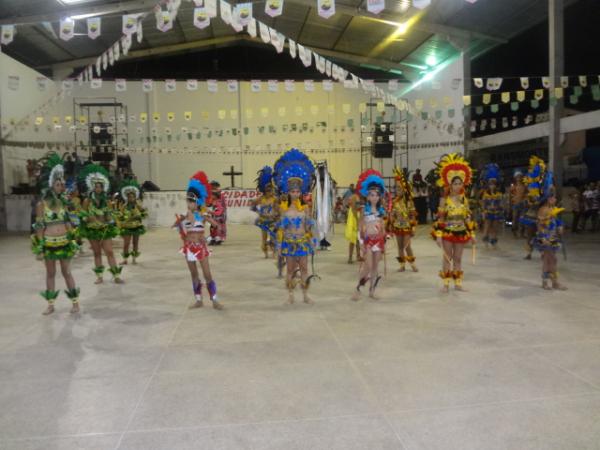 Novilho de Santo Ant&ocirc;nio(Imagem:FlorianoNews)