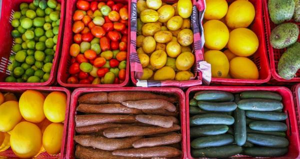 Dia Mundial da Alimentação: Governo entregou mais de 1,7 mil toneladas para 120 mil famílias