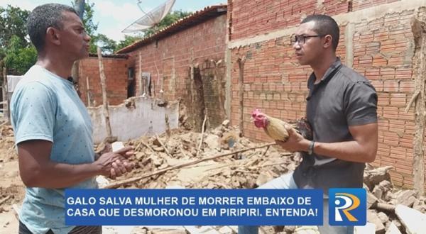 Galo "salva" mulher embaixo de casa que desmoronou no Piauí