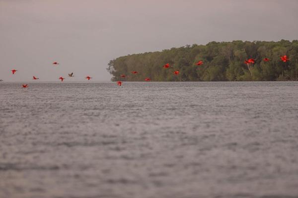 Delta do Parna&iacute;ba(Imagem:Thiago Amaral)