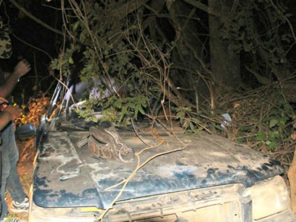 Pais morrem em acidente e filha de 5 anos anda 1km em busca de ajuda