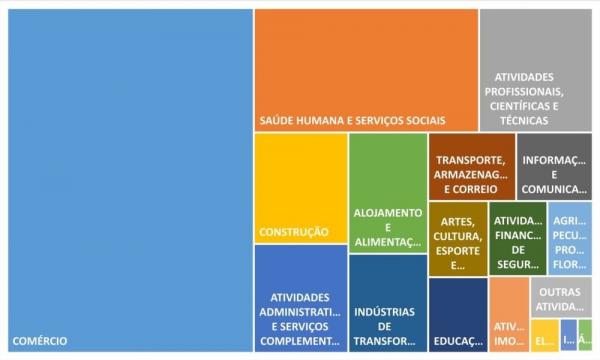 Gr&aacute;fico representa as atividades econ&ocirc;micas das empresas abertas em 2023.(Imagem:Divulga&ccedil;&atilde;o)