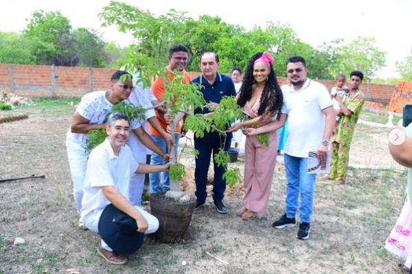Prefeitura de Floriano inicia plantio de Baobás em homenagem à Consciência Negra