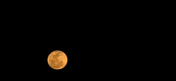Primeira superlua de 2023 é vista no Piauí; veja fotos