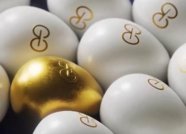 ´Gracyovos´: como um produto que nunca existiu se tornou assunto nacional nas redes sociais