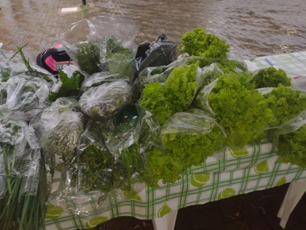 Realizada em Floriano a I Feirinha da Rede Fecunda&ccedil;&atilde;o(Imagem:FlorianoNews)