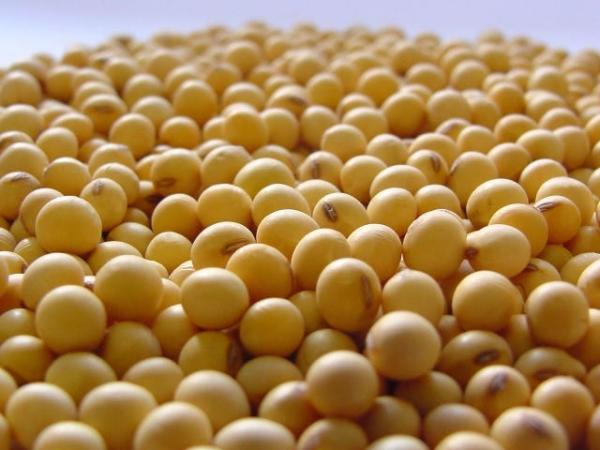 Exportações do Piauí têm superávit de R$ 318 milhões em novembro