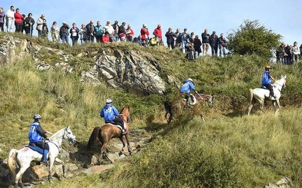 Cavalos sobem percurso com obst&aacute;culos naturais no enduro dos Jogos Mundiais.(Imagem:Reprodu&ccedil;&atilde;o/Twitter)